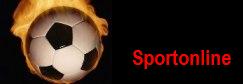 Sportonline- спортивный развлекательный сайт!